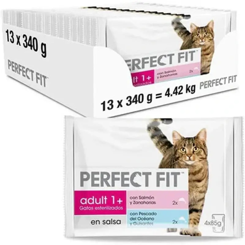 Perfect Fit Fish 13 x 4 x 85 Gramm