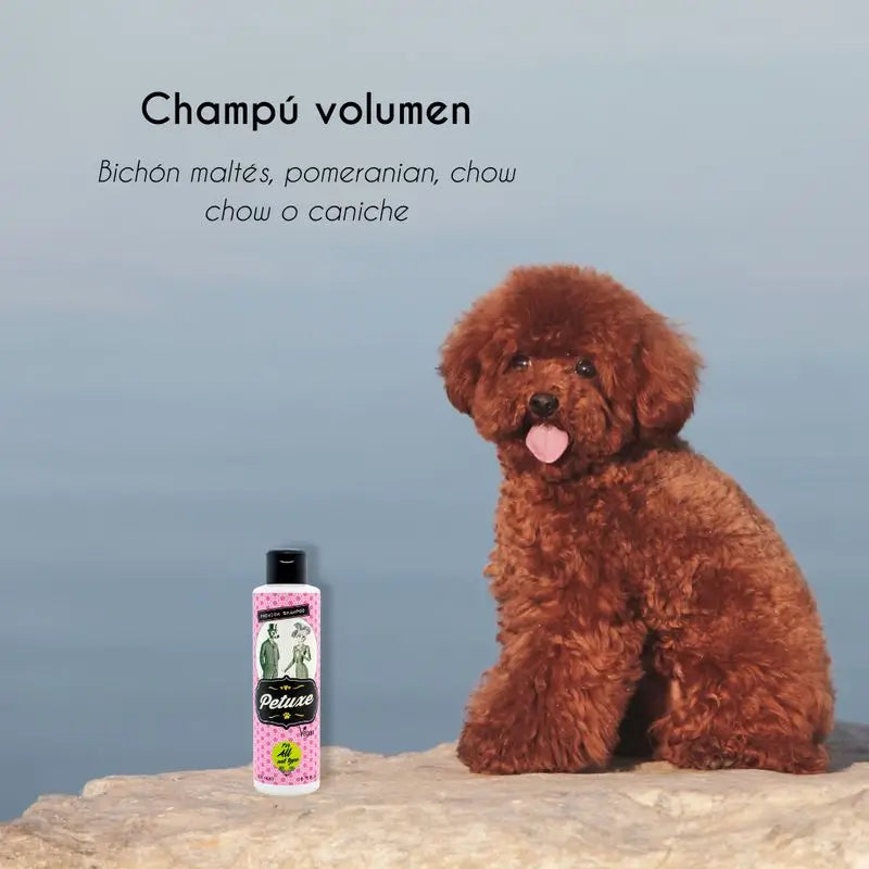 Petuxe Spezial-Volumen Shampoo 200 Ml