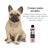 Petuxe Hypoallergene Shampoo (empfindliche Haut). Null%: Salz, Sulfate, Silikone,... 5000 ml