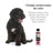 Petuxe Farbverstärkendes Shampoo (Schwarzes & dunkles Haar) 200 ml