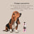 Petuxe Vorbeugendes Shampoo 500 Ml