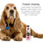 Petuxe Abbeizmittel Shampoo 500 Ml