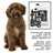 Petuxe Spezial Wasser Hund Texturierung Shampoo 200 Ml