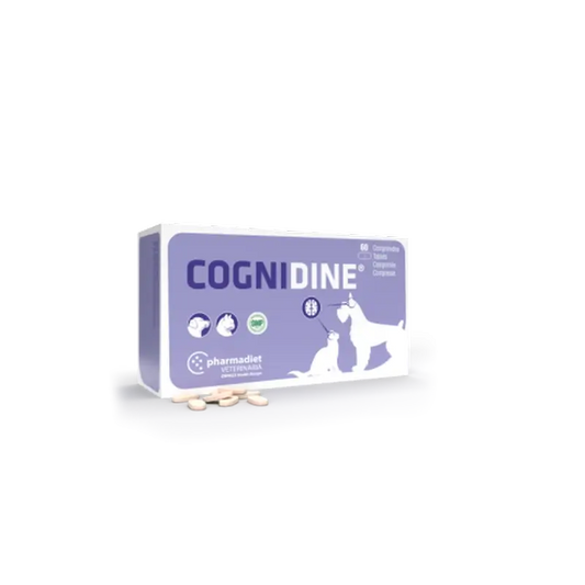 Cognidin, 60 Tabletten