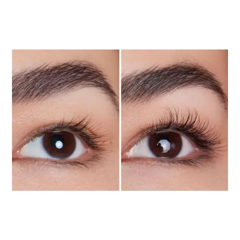 Pharmalash Wimpernseren