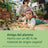 Philips Avent 2 ultra weiche Schnuller 6-18m neutral