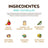 Togo Bioprotein – hypoallergenes, getreidefreies Hundefutter, 4 kg
