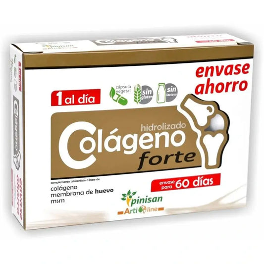 Pinisan Kollagen Forte , 60 Kapseln