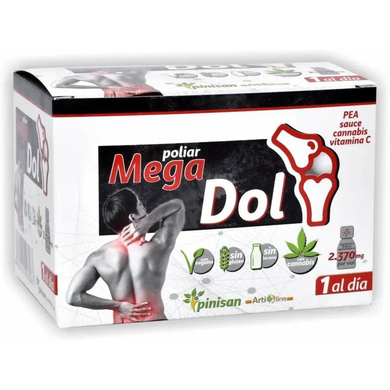 Pinisan Poliar Megadol 6Flaschen. Artilin