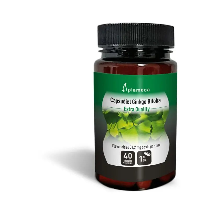 Plameca Capsudiet Ginkgo Biloba , 40 Kapseln
