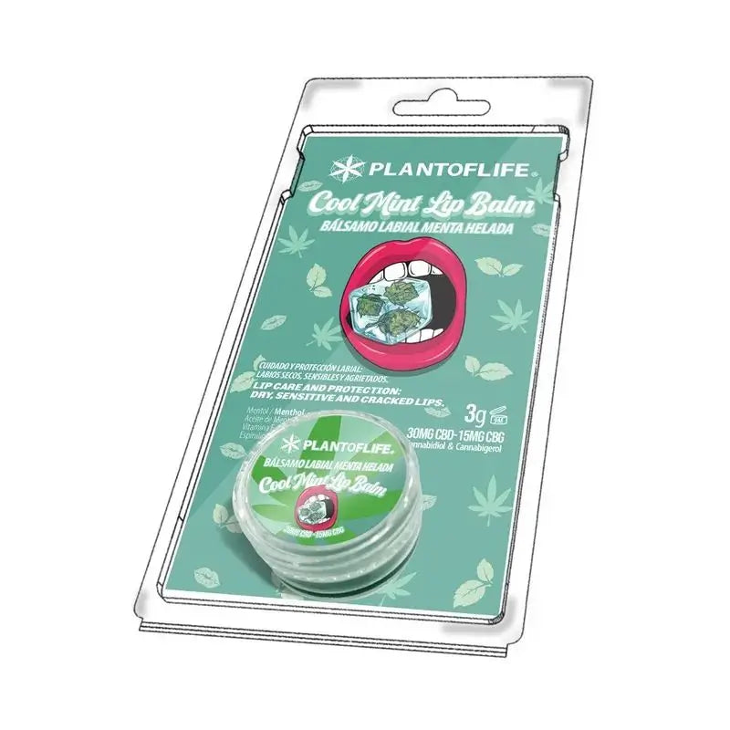 Plant Of Life Lipbalm Pfefferminz Eis 1% CBD - 0,5% Cbg , 3 g