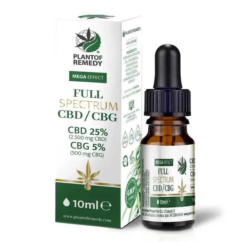 Pflanze von Heilmittel Cannabis Sativa Öl Vollspektrum 25% CBD 5% Cbg , 10 ml