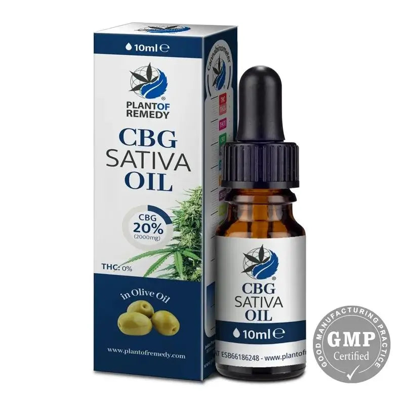 Pflanze von Heilmittel Olivenöl mit 20% Cbg, 10 ml