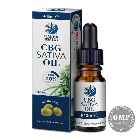 Pflanze von Heilmittel Olivenöl mit 20% Cbg, 10 ml