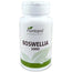 Plantapol Boswellia 2000 30 Tablets