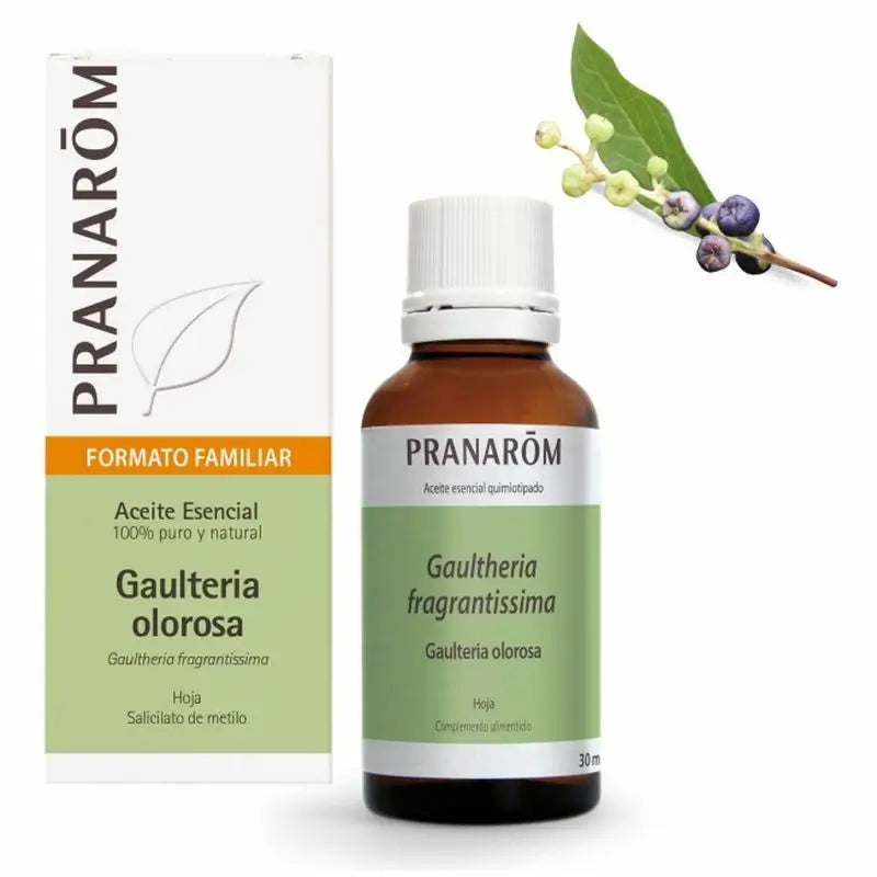 Pranarom Wintergreen Essential Oil, 30ml