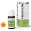 Pranarom Oils Yellow Immortelle Ätherisches Öl Bio 5Ml.