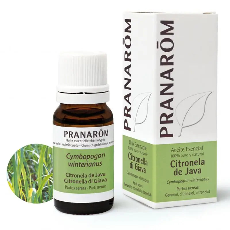Pranarom Citronella Java Ätherisches Öl, 10ml
