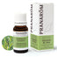 Pranarom Citronella Java Ätherisches Öl, 10ml