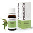 Pranarom Essential Oil Eucalyptus, 10ml