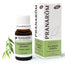 Pranarom Essential Oil Chemotyped Organic Eucalyptus Radiata Respiratory Tract 100% Pure and Natural , 10 ml