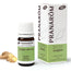 Pranarom Essential Oil Chemotyped Ginger Bio Digestive Tonic 100% Pure and Natural , 5 ml
