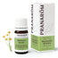 Pranarom German Chamomile Essential Oil, 5ml