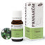 Pranarom Cajeput Essential Oil Bio, 10ml