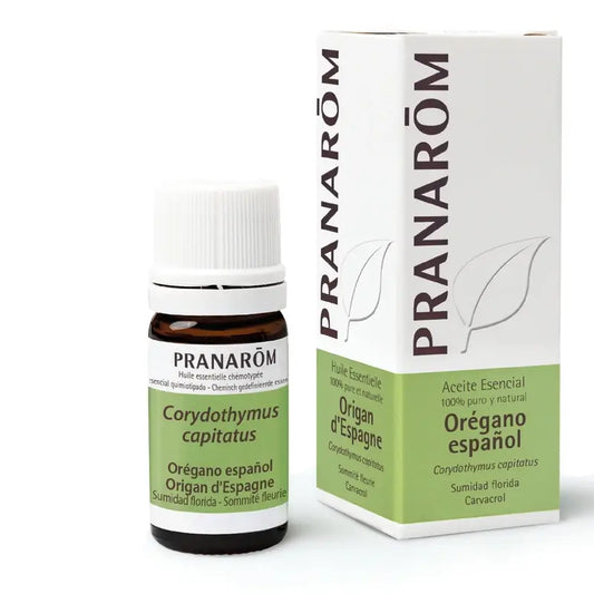 Pranarom Ätherisches Öl Spanisch Oregano, 5ml