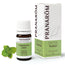 Pranarom Patchouli Essential Oil, 5ml