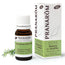 Pranarom Essential Oil Rosemary qt Camphor Bio, 10ml