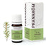 Pranarom Labrador Tee Ätherisches Öl, 5ml