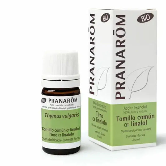 Pranarom Ätherisches Öl Gemeiner Thymian qt Thymol, 10ml