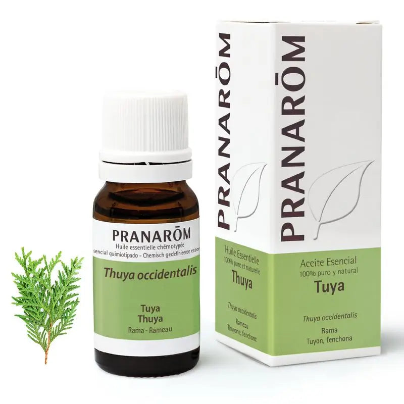 Pranarom Ätherisches Öl Tuya, 10ml