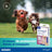 Virbac Prevendog Anti-Parasiten Halsband 35 Cm, 1 Einheit