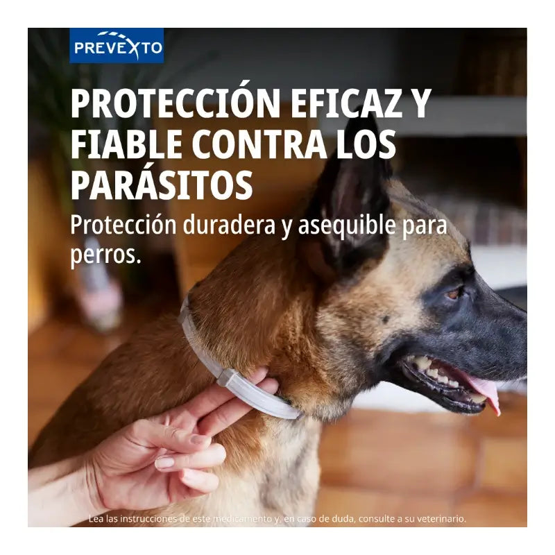 Prevexto-Halsband zur Parasitenbekämpfung für Hunde über 8 kg, 70 cm