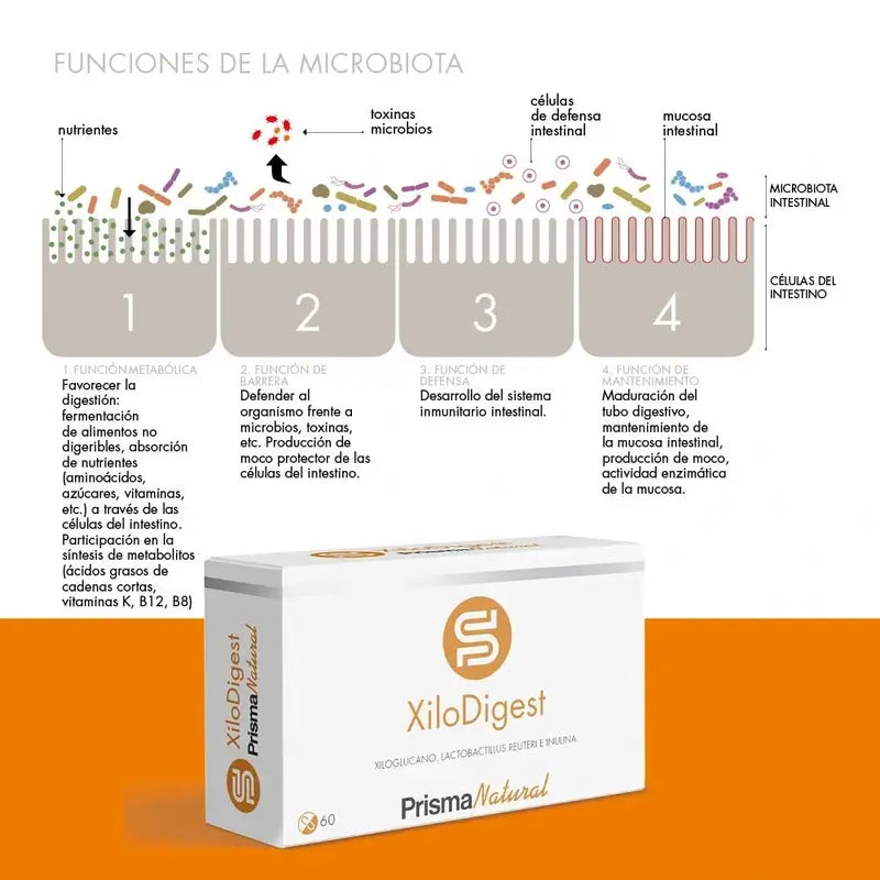 Prisma Natural Xilodigest, 60 Kapseln