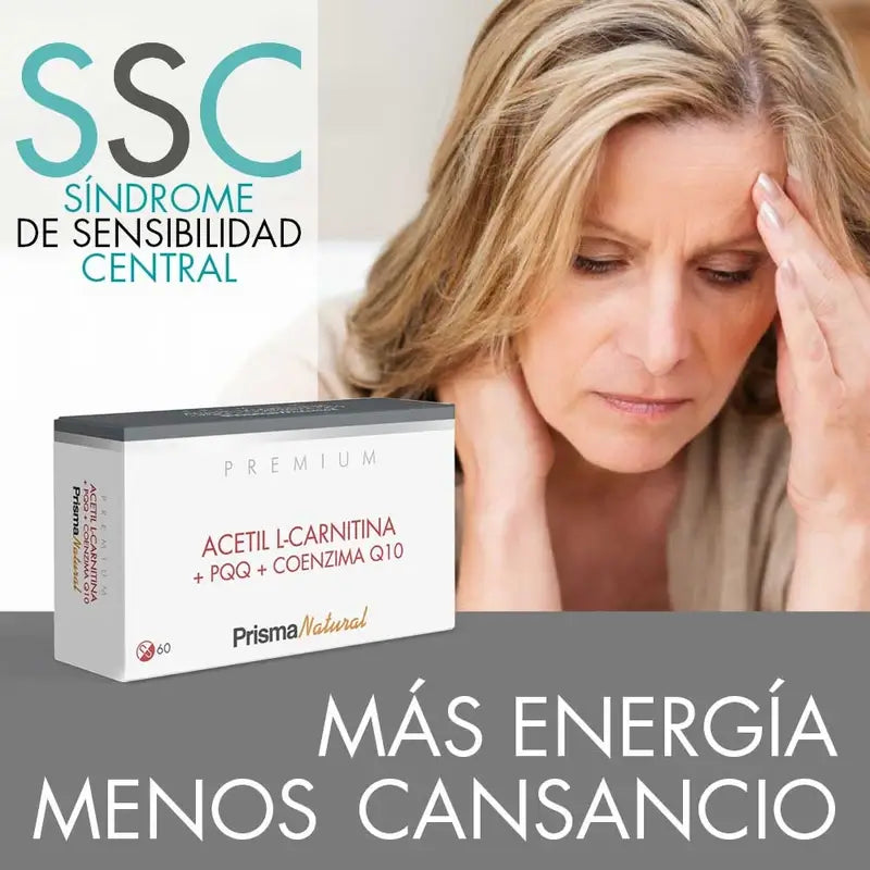 Prisma Premium Acetyl L-Carnitin+Pqq+Coenzym Q10, 60 Kapseln