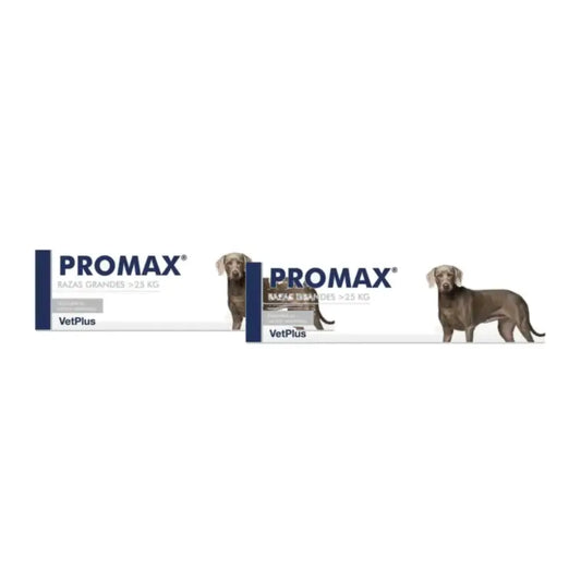Promax Pack 2 x 30 ml, Nahrungsergänzungsmittel gegen Durchfall für Hunde großer Rassen