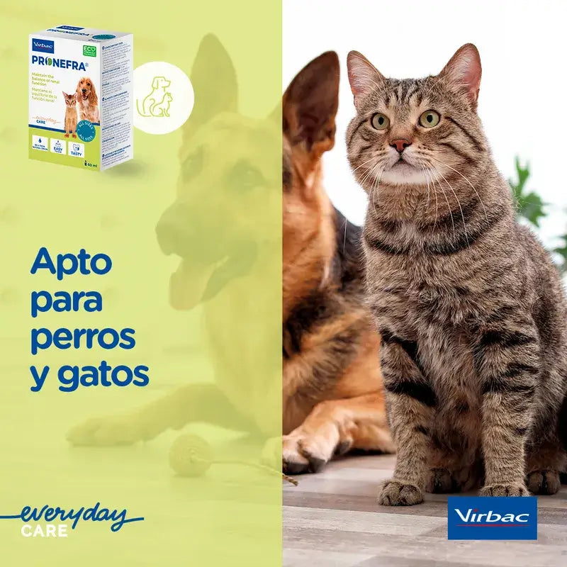 Virbac Pronefa 60 ml, Nierenergänzungsmittel für Hunde und Katzen