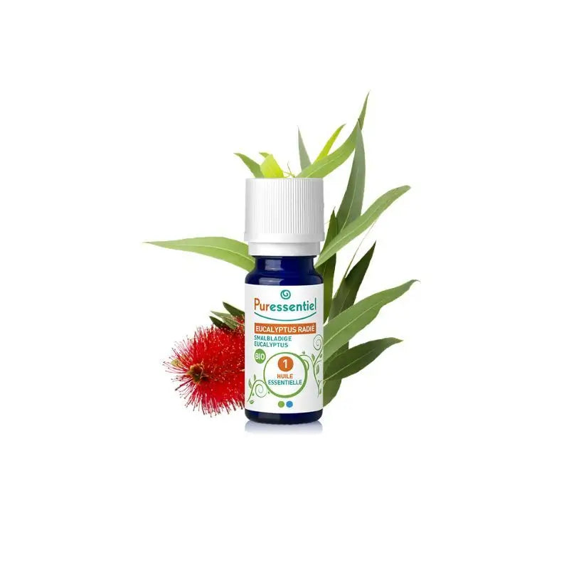 Puressentiel Ätherisches Öl Eukalyptus Radiata Bio, 10 ml