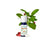 Puressentiel Wintergrün Ätherisches Öl Bio, 10 ml