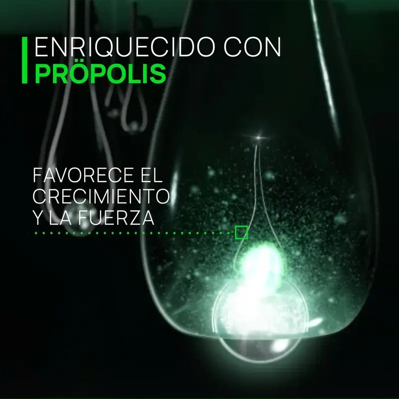 René Furterer Triphasic Reactional Ampullen Packung 5 ml x 12 Ampullen