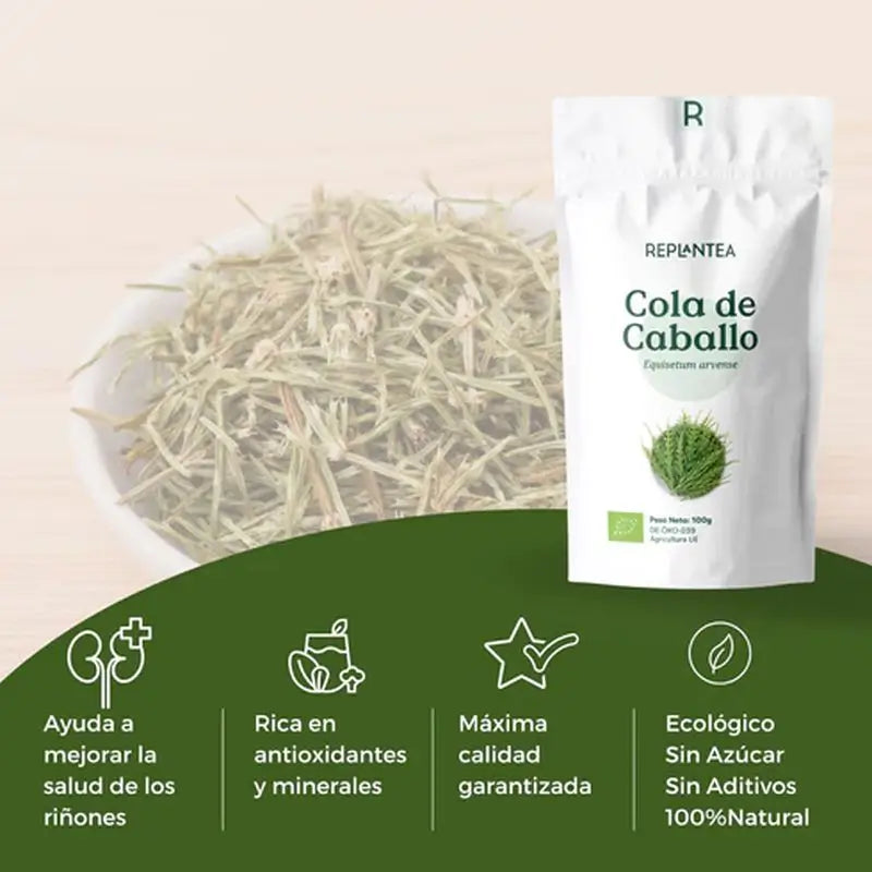 Replantea Schachtelhalm Bio, 100 g