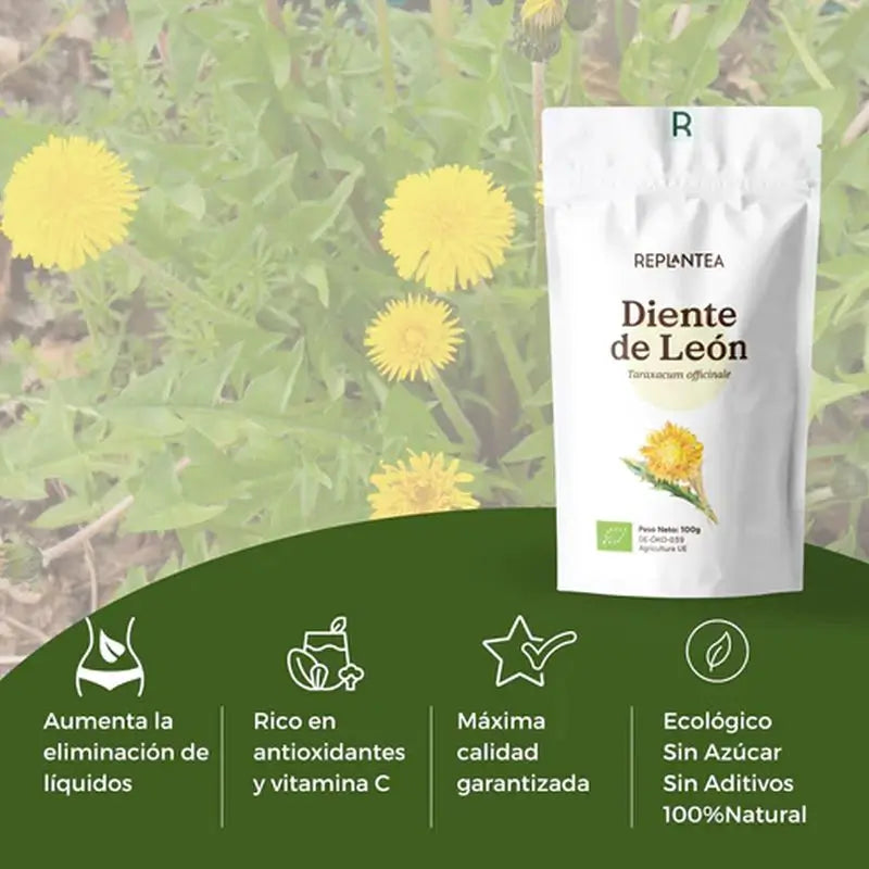Replant Löwenzahn Bio, 100 g