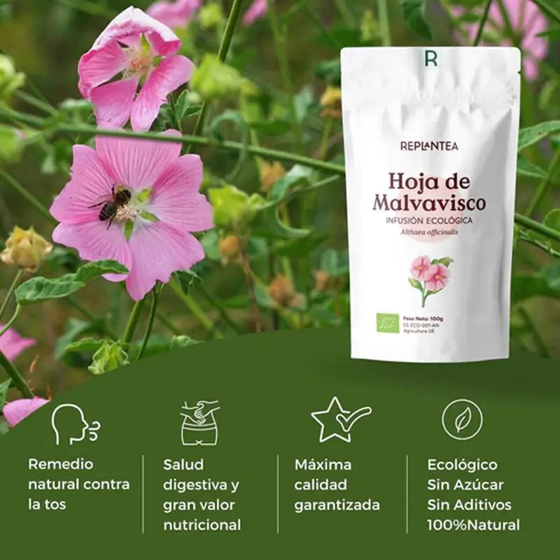 Replantea Marshmallow Aufguss oder Bio-Hanfsamen Aufguss, 100 g