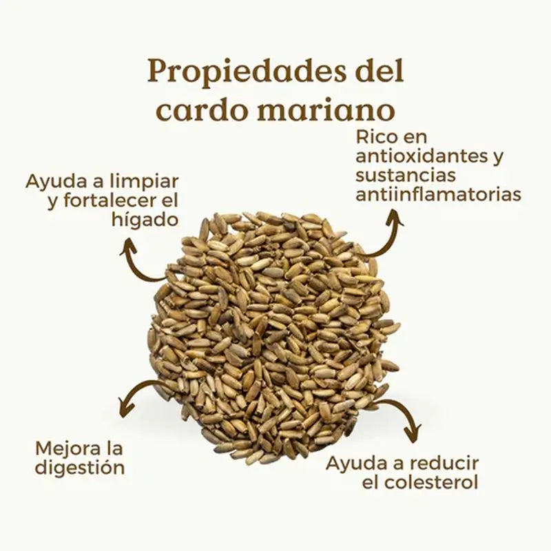 Replantea Mariendistel-Samen Bio, 200 g