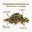 Replantea Blauer Oolong-Tee mit Orange und Pfirsich, 100 g