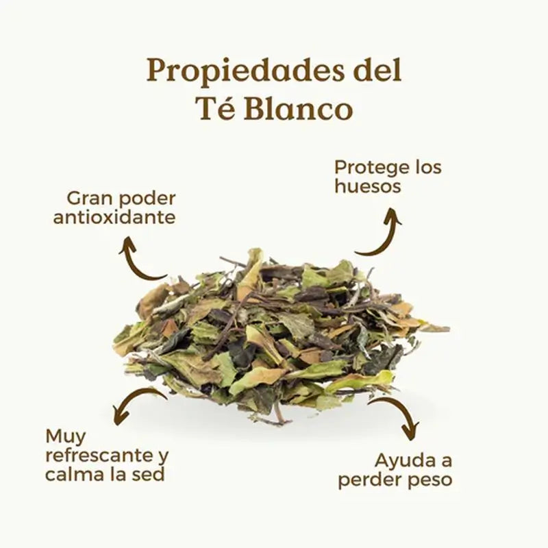 Replantea Bio Pai Mu Tan Weißer Tee, 50 g
