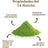 Replantea Bio Matcha Zeremonieller Japanischer Tee, 50 g